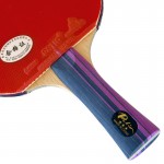 PALIO 3 Stars – Table Tennis Bat